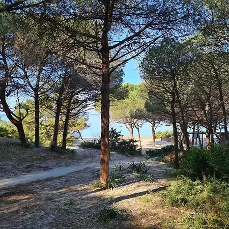 My Baby House Vicino Le Spiagge * Alguer