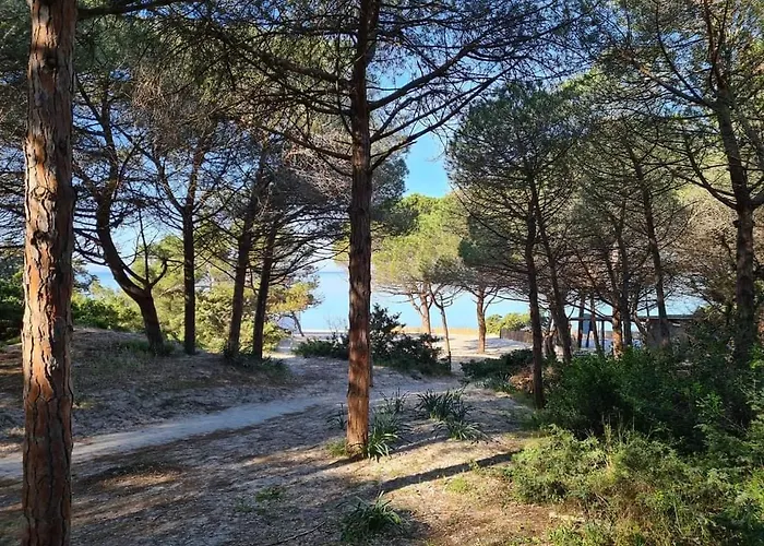 My Baby House Vicino Le Spiagge * Αλγκέρο